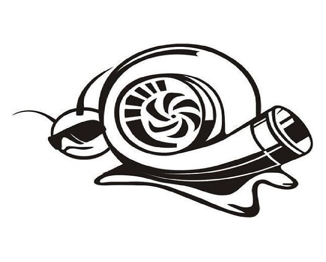 Turbo snail with glasses